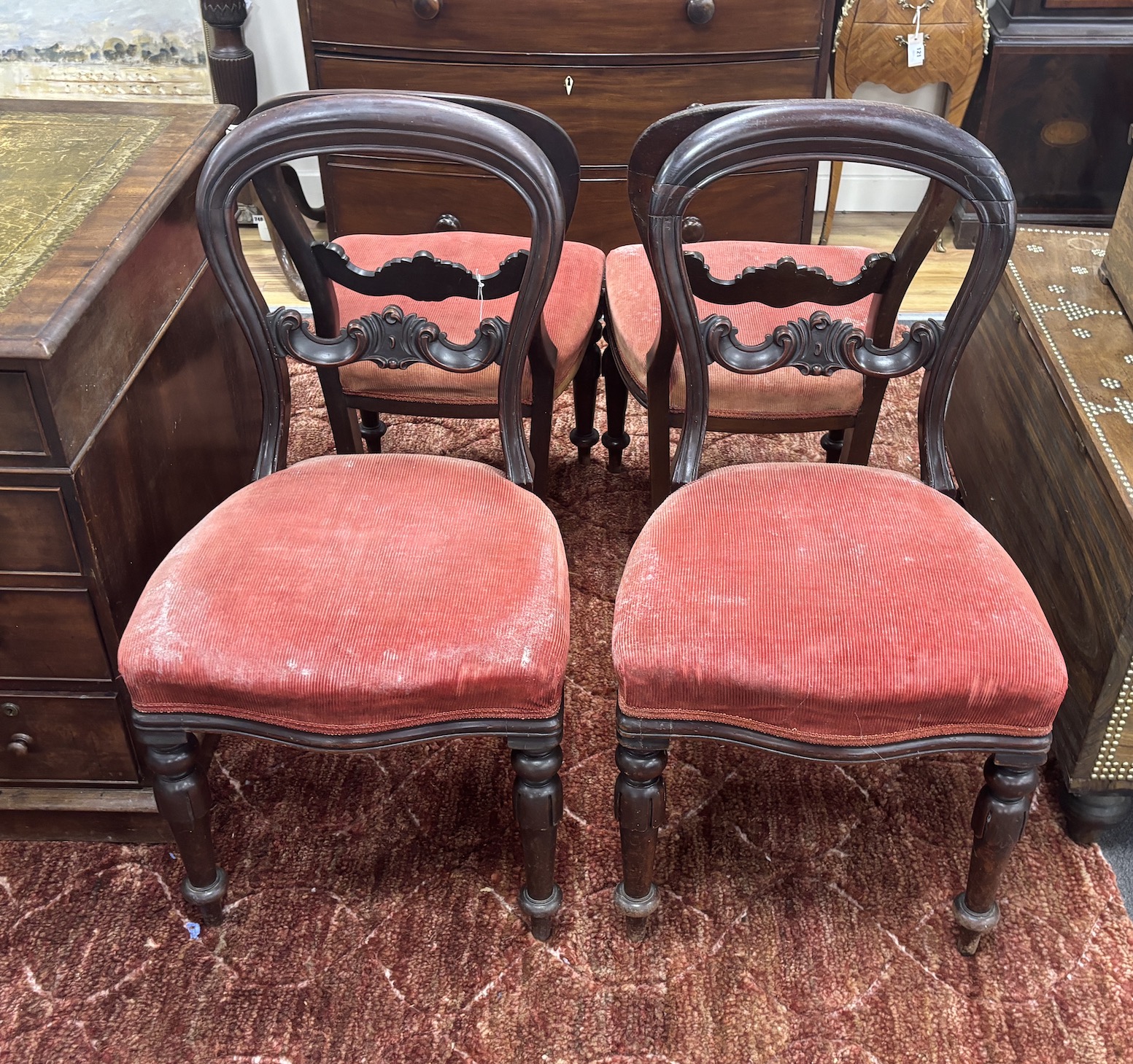 A set of six Victorian balloon back dining chairs